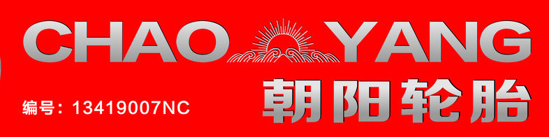 朝陽(yáng)輪胎-深圳市達(dá)宏美拓密度測(cè)量?jī)x器有限公司