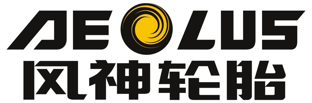 風(fēng)神輪胎-深圳市達(dá)宏美拓密度測量儀器有限公司